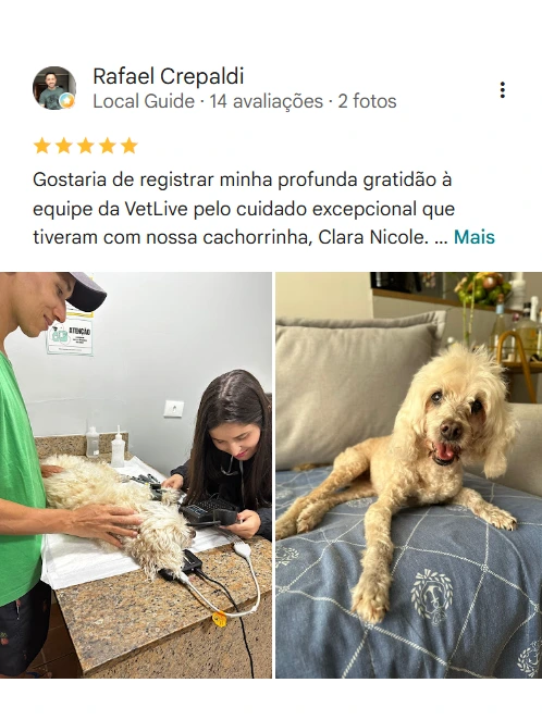 Avaliação real de tutor sobre o Vet Live