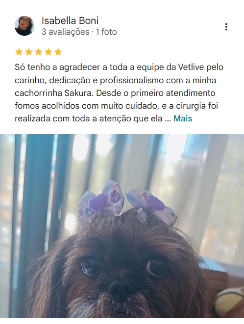 Avaliação real de tutor sobre o Vet Live