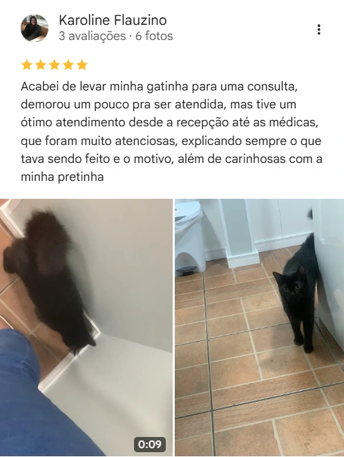 Avaliação real de tutor sobre o Vet Live