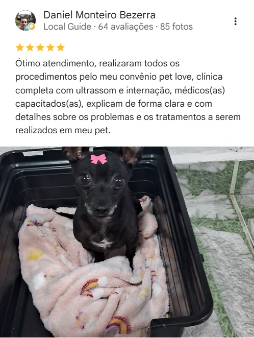Avaliação real de tutor sobre o Vet Live