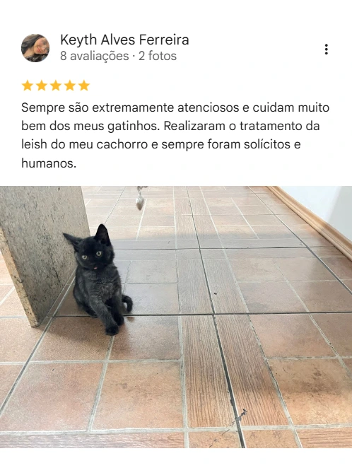 Avaliação real de tutor sobre o Vet Live
